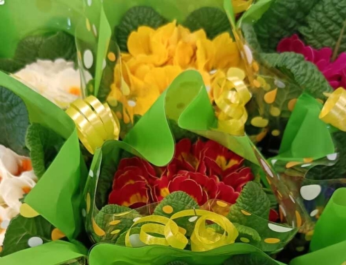 “Uomo, portale rispetto”: fiori e poesie alla RSA Nuova Villa Laguidara e del Carmelo